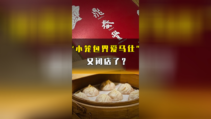 新澳门2025年正版免费资料大全,学会与孤独和解,收益成语分析落实_极速版V3.84