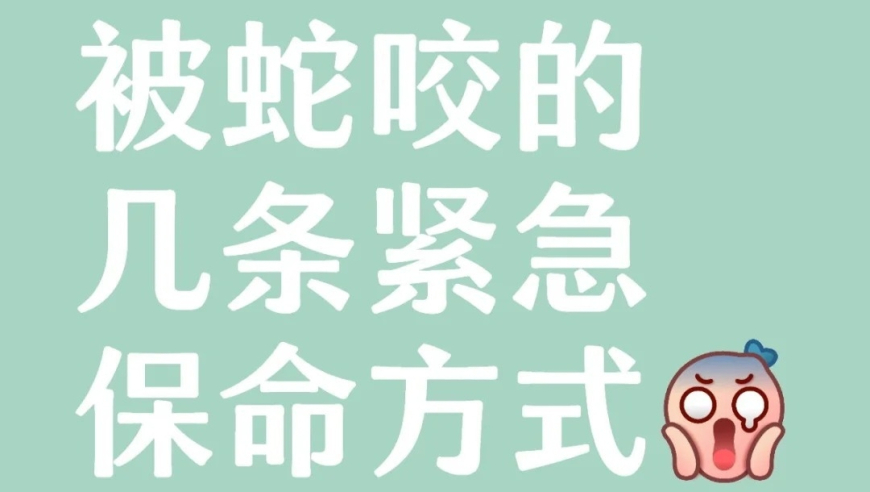 7777788888精准管家免费,科研人员复原1.6万年前人类面貌,最新热门解答落实_标配版V5.5